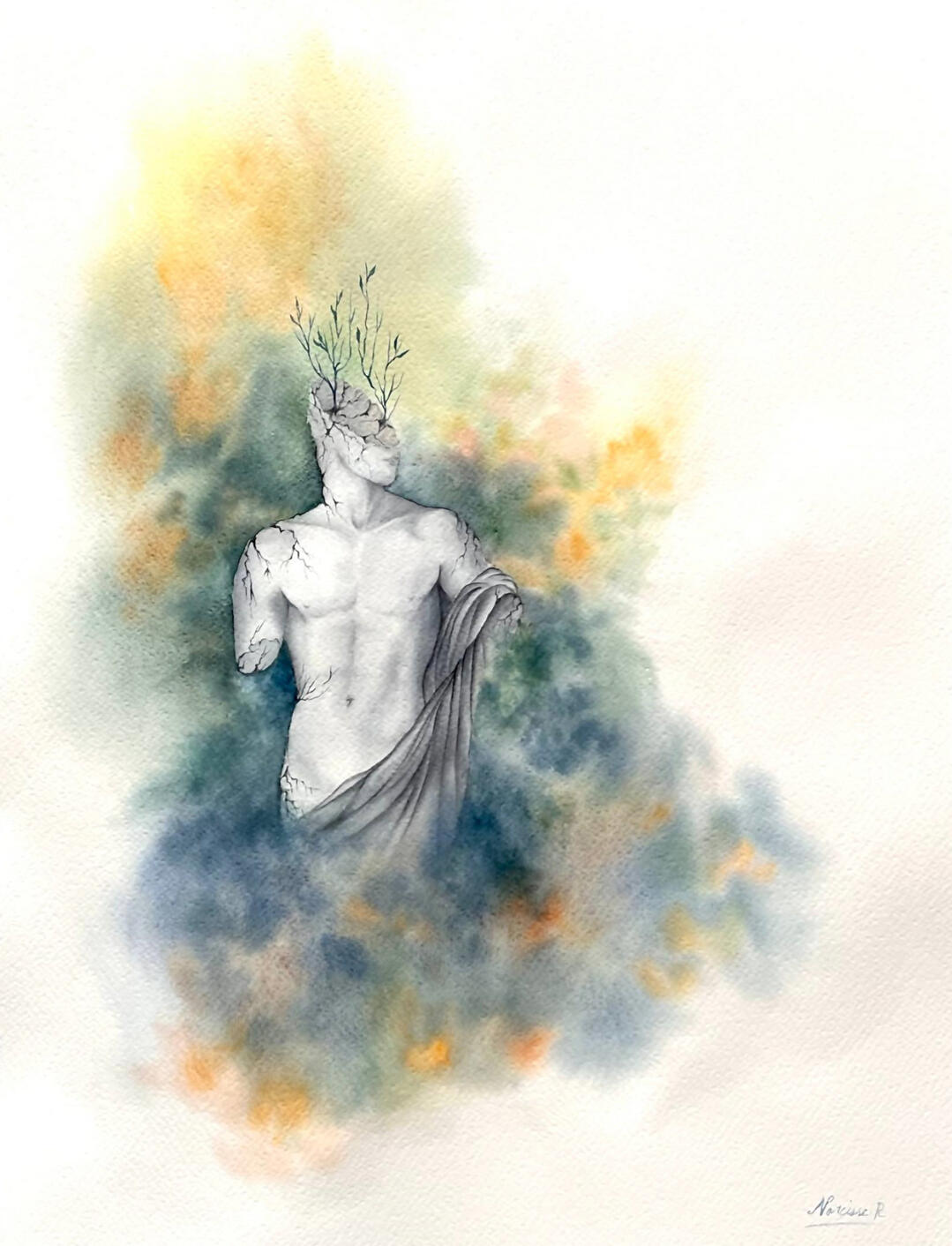 50 x 40 cm
